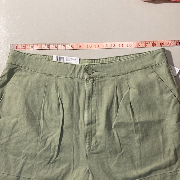 Joie Pleated Short, XL, Faded Cactus, Style JE3364 - Picture 7 of 16